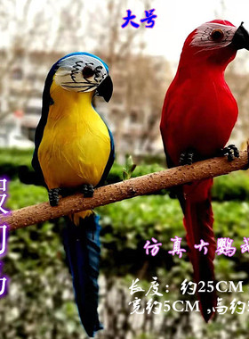 仿真贴毛大金刚彩色假鸟橱窗摆件