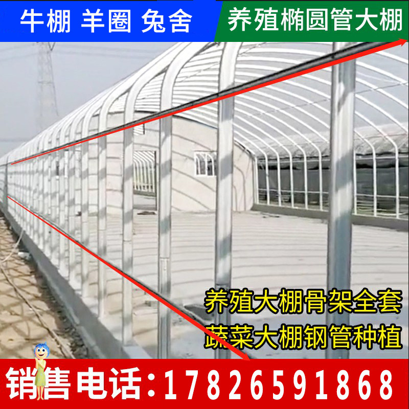 疏花简叶养殖大棚骨架全套