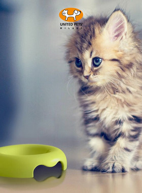 意大利原装进口United Pets防滑宠物猫碗防滑猫食盆水碗kitty碗