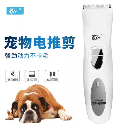 Pet Electric Push Dog с помощью стрижки для волос.
