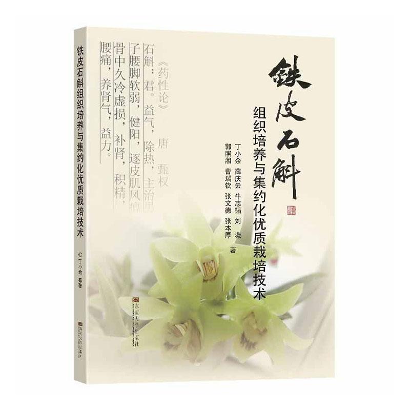 铁皮石斛组织培养与集约化栽培技术丁小余薛庆云牛志韬刘薇郭照湘等相关专业石斛组织培养石斛栽培技术农业、林业书籍