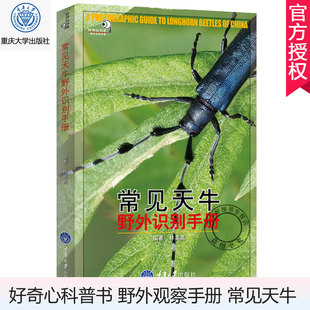 正版包邮 好奇心书系 常见天牛野外识别手册 林美英 天牛爱好者初级读物 科普读物书籍 生物世界 重庆大学出版社 9787562490159
