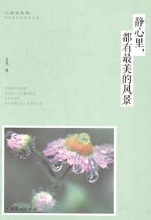 个人修养通俗读物励志与成功书籍 风景夏然 静心里 都有美
