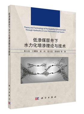 低渗煤层井下水力化增渗理论与技术秦玉金王耀锋富向姜文忠苏伟伟  自然科学书籍