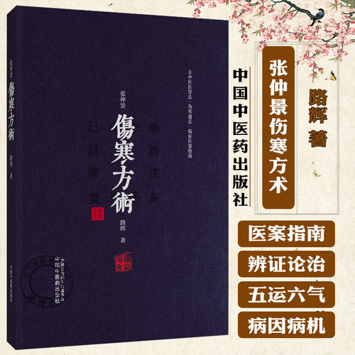 张仲景伤寒方术 路辉 著 仲景《伤寒杂病论》三阴三阳学术史 仲景伤寒日周期运气法 《伤寒论》的三百九十七法 中国中医药出版社