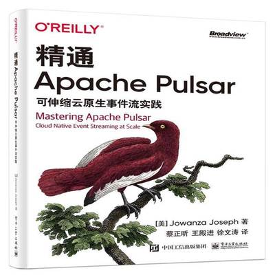 精通Apache Pulsar:可伸缩云原生事件流实践:cloud native event streaming at scale  计算机与网络书籍