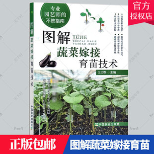 正版包邮 2022新书 图解蔬菜嫁接育苗技术 茄子西瓜番茄黄瓜等蔬菜嫁接栽培种植技术大全书籍 9787109297043 中国农业出版社