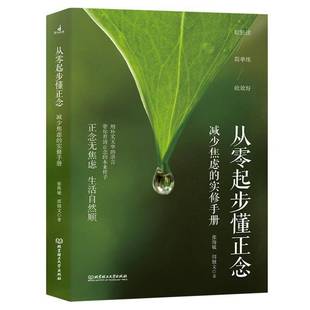 从零起步懂正念：减少焦虑的实修手册张海敏  社会科学书籍