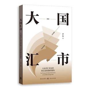 经济书籍 视角芦东 大国汇市 人民币汇率定价和交易机制