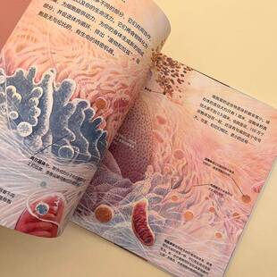 宇宙在你眼中:一场微观世界的旅行陈振盼 自然科学书籍