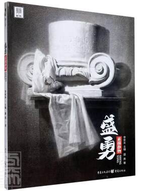正版包邮 盛勇(素描静物)/敲门砖 9787229150112 盛勇 重庆出版社 社会科学 书籍