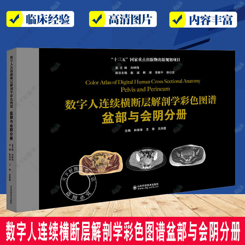 数字人连续横断层解剖学彩色图谱 盆部与会阴分册 林祥涛 王青 吴凤霞 主编 胎儿脊柱发育 临床新应用前列腺 断层图像 CT 图像