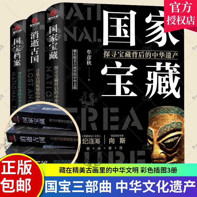 国家宝藏+消逝古国+国宝档案全3册 中华文明艺术考古遗址谜案秦始皇陵兵马俑玉器陶瓷器字画文物古董知识中华历史故事 考古书籍