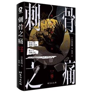 刺骨之痛  小说书籍