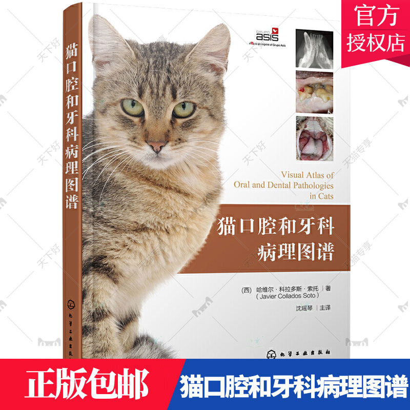 猫口腔和牙科病理图谱 猫牙科病理图谱治疗手册 犬猫组织学牙齿结构 犬猫齿系图谱 小动物牙周探查图例 宠物医生兽医入门参考书籍