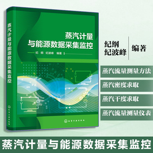 蒸汽计量与能源数据采集监控 蒸汽流量测量方法 蒸汽密度与干度求取 精密级流量测量仪表原理 蒸汽流量测量仪表应用设计选型参考书