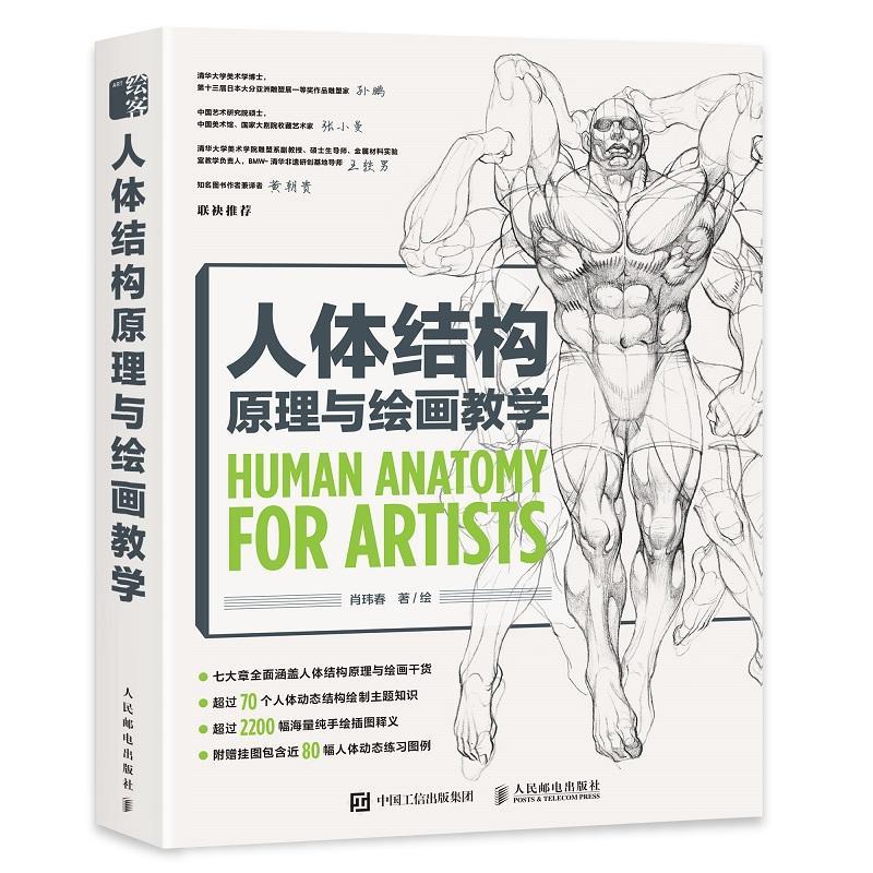 人体结构原理与绘画教学肖玮春绘普通大众人体结构漫画绘画技法艺术书籍