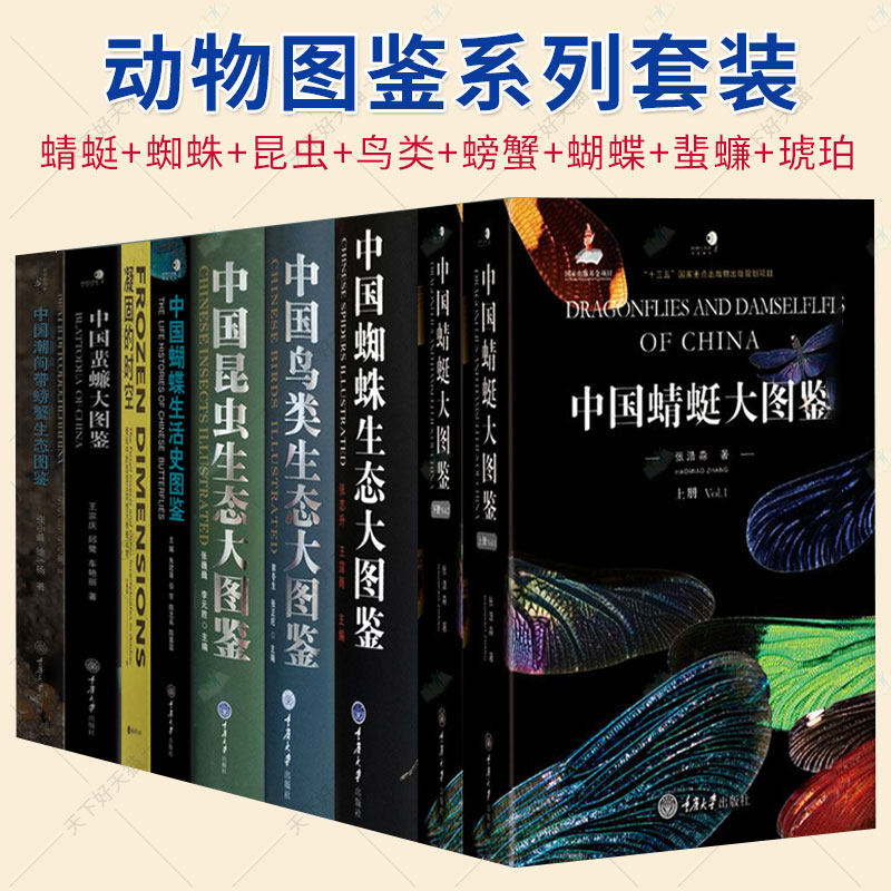 重庆大学动物图鉴 8册 中国蜻蜓+中国蜘蛛+中国昆虫+中国鸟类+潮间带螃蟹生态+中国蝴蝶生活史图鉴+凝固的时空+中国蜚蠊大图鉴