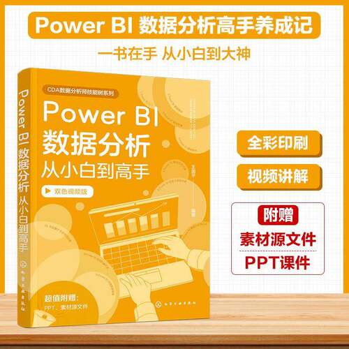 Power BI数据分析从小白到高手 王国平 PowerBI入门数据集成数据处理基础操作教程书籍 Excel数据分析书籍 化学工业出版社