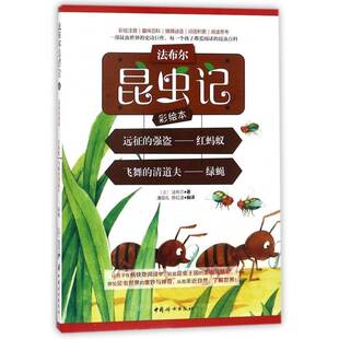彩绘本 清道夫——绿蝇法布尔 远征 飞舞 昆虫少年读物自然科学书籍 强盗——红蚂蚁 法布尔昆虫记