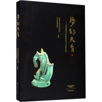 梦韵天青：宝丰清凉寺汝窑新出土瓷器集粹河南省文物考古研究院 汝窑瓷器中国艺术书籍
