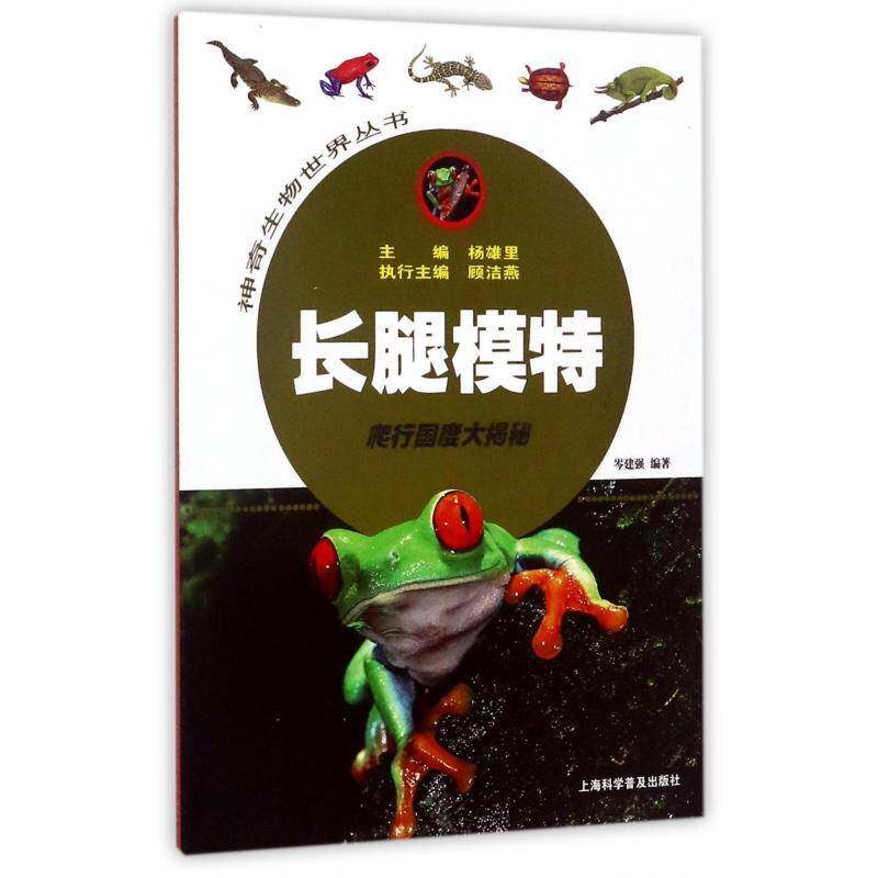 长腿模特：爬行国度大揭秘岑建强 爬行纲青少年读物儿童读物书籍