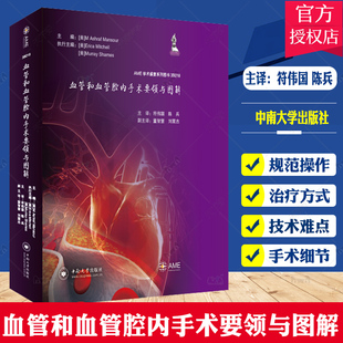 血管和血管腔内手术要领与图解符伟国陈兵主译血管外科疾病适应证治疗方式手术材料体位摆放技术9787548743910中南大学出版社
