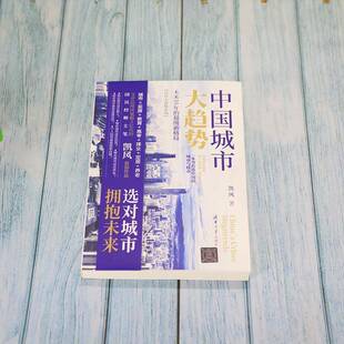 经济大趋势系列凯风普通大众城市发展研究中国经济书籍 新格局 中国城市大趋势 未来10年