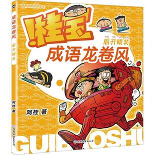 成语龙卷风:眉开眼笑阿桂  社会科学书籍