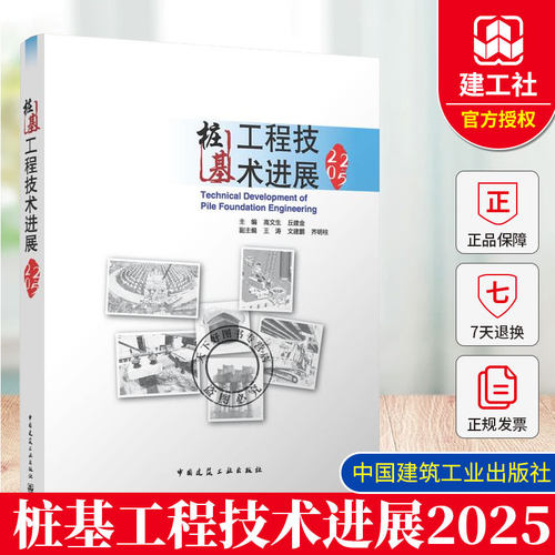 桩基工程技术进展2025  主编 高文生 丘建金 副主编 王涛 文建鹏 齐明柱  中国建筑工业出版社9787112317851
