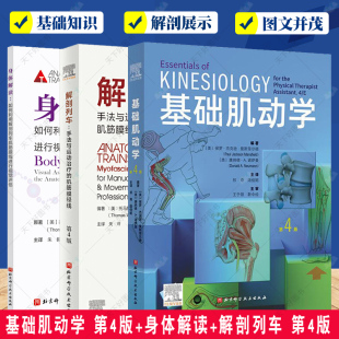 肌筋膜经线第4版 解剖列车 身体解读 3册 筋膜解剖书 第4四版 手法与运动治疗 如何利用解剖列车肌筋膜线进行视觉评估 基础肌动学