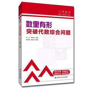 数里有形——突破代数综合问题王宇  自然科学书籍