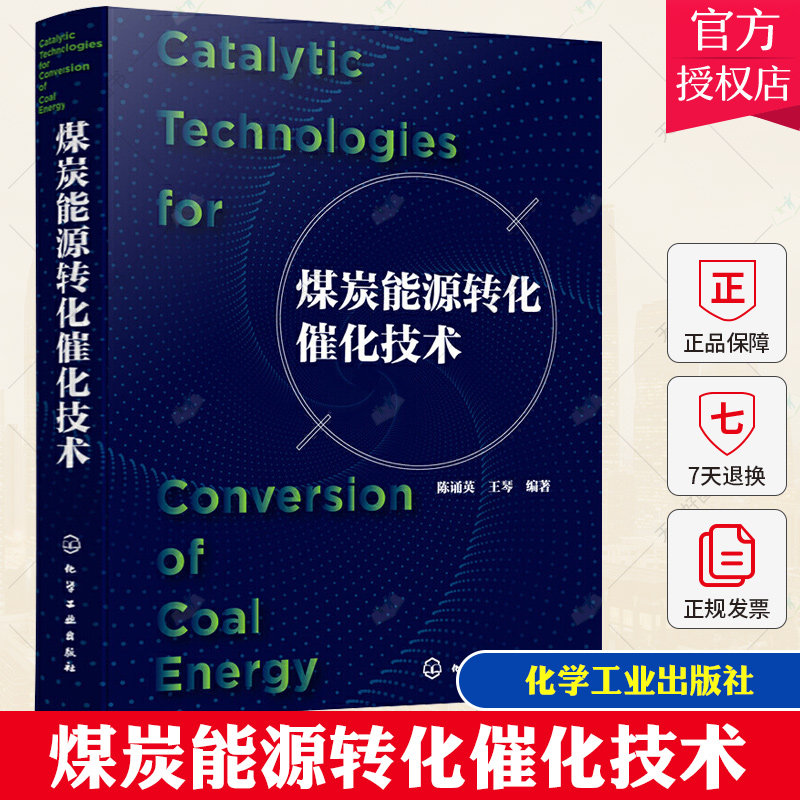 煤炭能源转化催化技术 固体煤炭转化为电能热能气体 液体燃料化学能及机械能过程中关键催化技术 煤气化合成气净化催化技术应用书