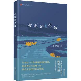 命运 小说书籍 岔路帕蒂古丽
