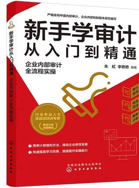 新手学审计从入门到精通 企业内部审计全流程实操 审计准则内审人员内部审计工作宝典 审计新手流程实操指导审计实务入门书籍