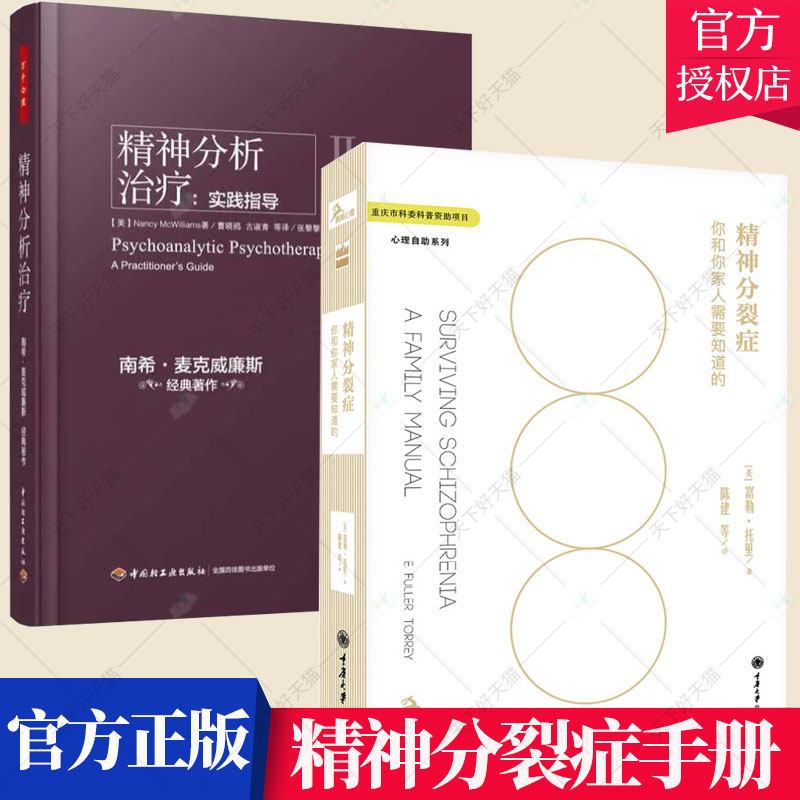 精神分析治疗实践指导