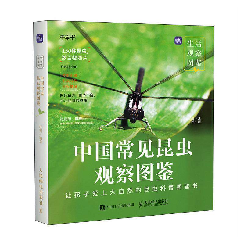 中国常见昆虫观察图鉴 汪阗 昆虫科普图鉴 观察昆虫细节 学好生物步 让孩子爱上大自然 人民邮电出版社 中国常见昆虫观察图鉴