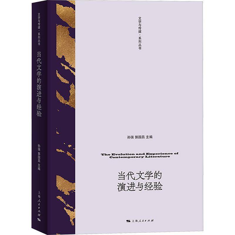 当代文学的演进与经验孙强  文学书籍
