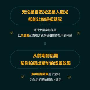 十周年纪念版 摄影用光指南 迈克尔·弗里曼普通大众数字照相机摄影技术艺术书籍 迈克尔弗里曼数码 光线与用光