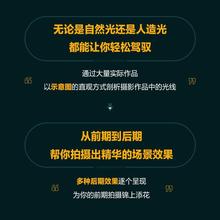 十周年纪念版 迈克尔弗里曼数码 迈克尔·弗里曼普通大众数字照相机摄影技术艺术书籍 摄影用光指南 光线与用光