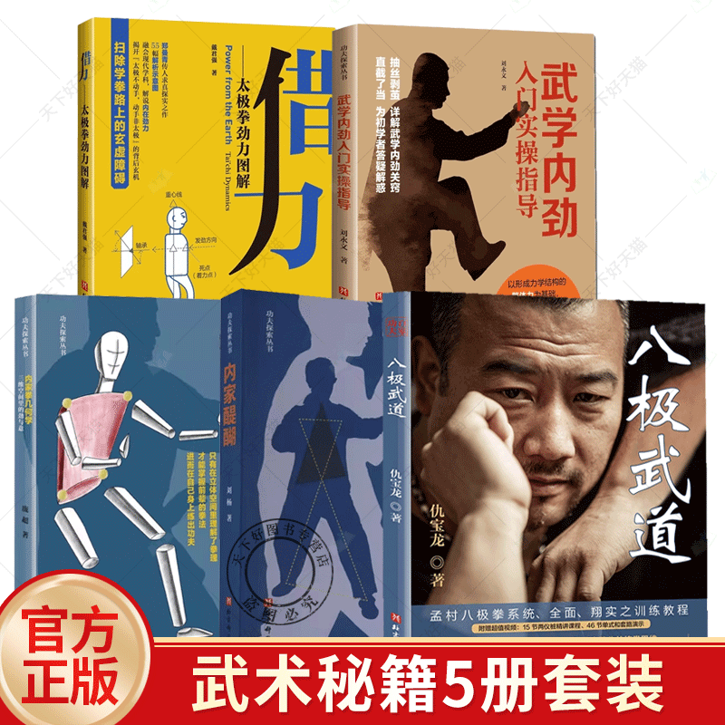 5册 八极武道内家醍醐 内家拳的正确打开方式内家拳几何学武学内劲入门实操指导借力 太极拳劲力图解 心法功法书籍