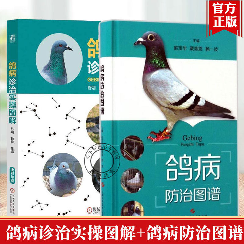 鸽病防治图谱+鸽病诊治实操图解 鸽子科学饲养技术书 鸽子养殖技术书大全 鸽子药大全常见病调理 养鸽子书籍 肉鸽养殖技巧书籍