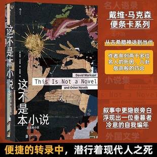 这不是本小说:及其他小说戴维·马克森 图书书籍