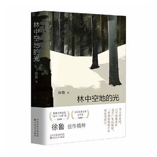 林中空地的光徐鲁  文学书籍