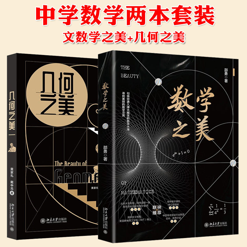 几何之美+数学之美+公式之美姊妹篇 发现数学有趣的几何之美 写给中学生的数学思维书数学科普书青少年科普读物书籍