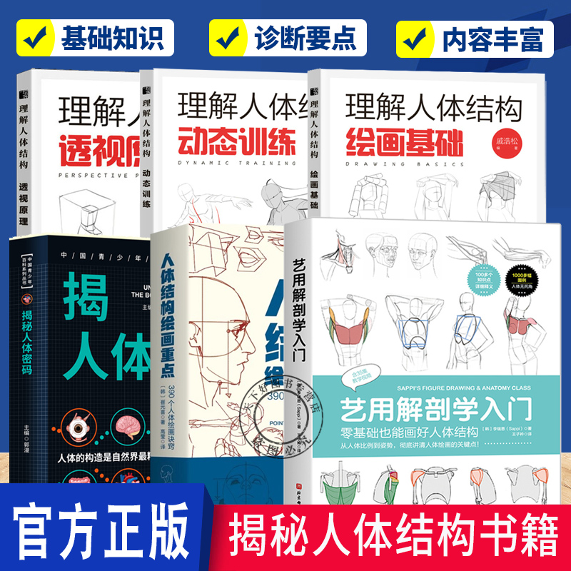 任选】揭秘人体结构书籍  艺用解剖学入门 揭秘人体密码 理解人体结构 透视原理动态训练绘画基础 人体结构绘画重点
