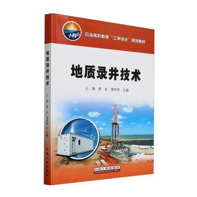 地质录井技术王满  工业技术书籍