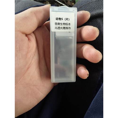 动物5片装显微生物标本，
