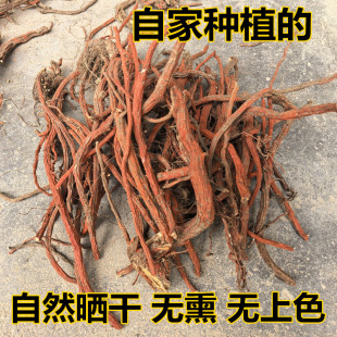 莒南县自家种植紫花丹参自然晒干无硫干品丹参条农产品丹参一斤的