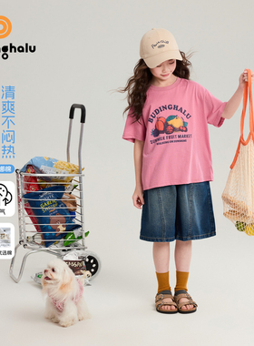 布丁哈鲁夏装女童童装洋气上衣2026夏季新款儿童百搭水果印花T恤